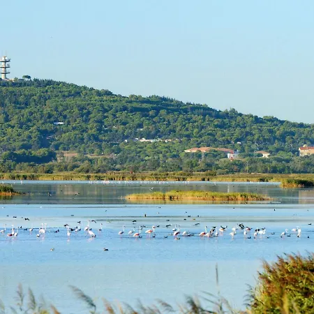 Le Sunset-cap Sud-20 By Interhome アパート アグド